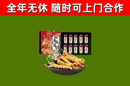南票回收冬虫夏草价格