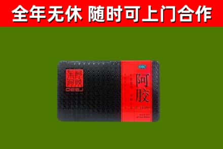 南票回收阿胶
